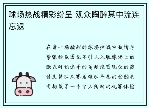 球场热战精彩纷呈 观众陶醉其中流连忘返