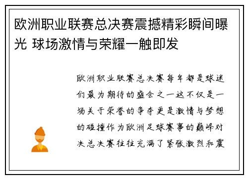 欧洲职业联赛总决赛震撼精彩瞬间曝光 球场激情与荣耀一触即发