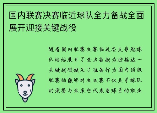 国内联赛决赛临近球队全力备战全面展开迎接关键战役