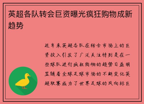 英超各队转会巨资曝光疯狂购物成新趋势