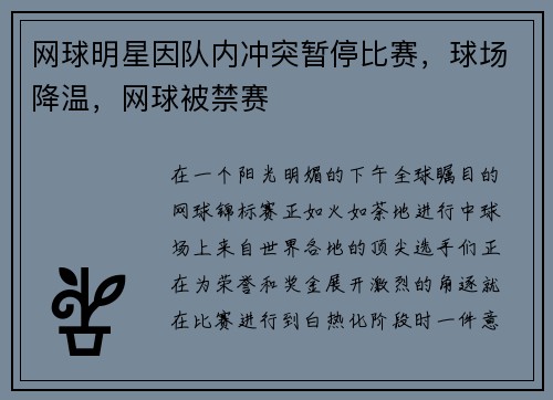 网球明星因队内冲突暂停比赛，球场降温，网球被禁赛