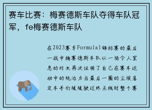 赛车比赛：梅赛德斯车队夺得车队冠军，fe梅赛德斯车队